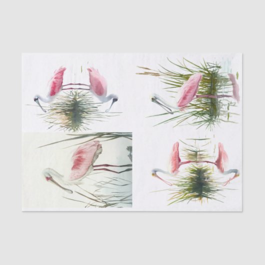 Spoonbill Collage 2 Decoupage Papier (Voorkant)