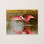 Spoonbill Legpuzzel (Horizontaal)