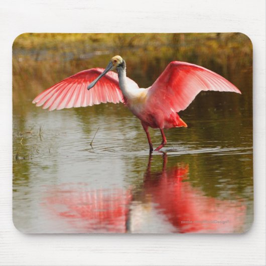 Spoonbill Muismat (Voorkant)