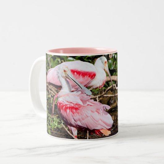 Spoonbill Sanctuary: Verborgen Pareltjes Mok (Voorkant links)