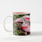 Spoonbill Sanctuary: Verborgen Pareltjes Mok (Links)