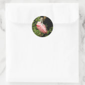 Spoonbill Stickers roze vogel (Tas)