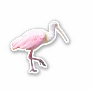 Spoonbill Vinyl Sticker