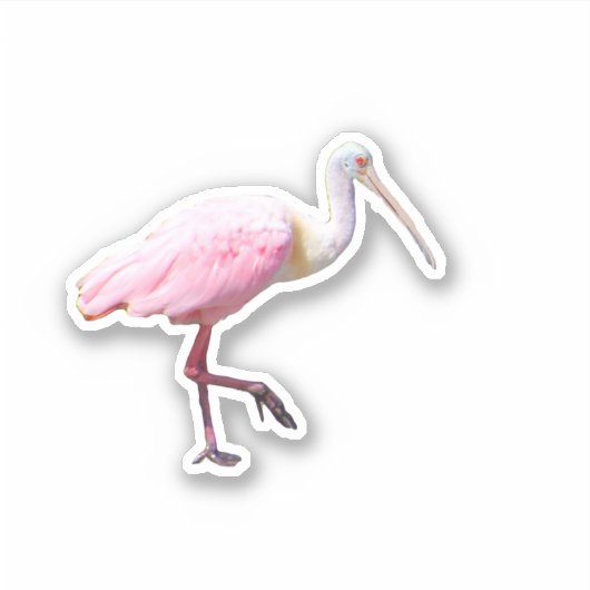 Spoonbill Vinyl Sticker (Voorkant)