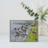Spoonbills in het wild feestdagenkaart (Staand voorkant)