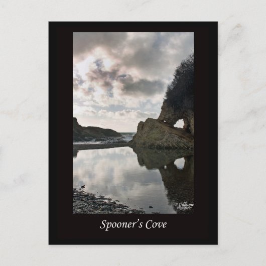 Spooner's Cove California Briefkaart (Voorkant)