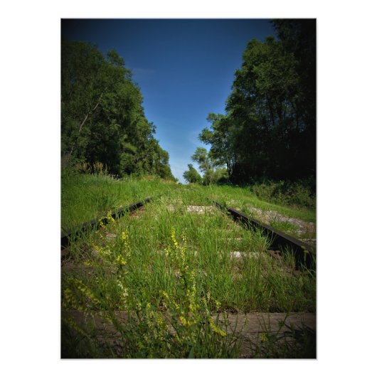 "Spoor en veld" Foto Afdruk (Voorkant)