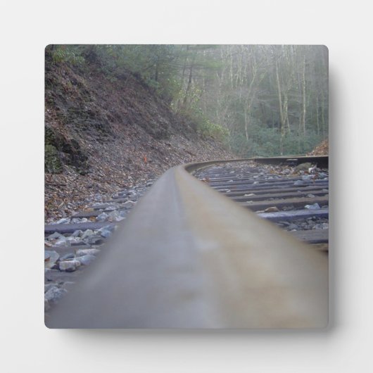 Spoor Fotoplaat (Voorkant)