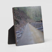 Spoor Fotoplaat (Voorkant)