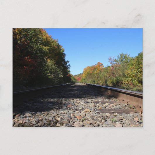 Spoor in de herfst briefkaart (Voorkant)