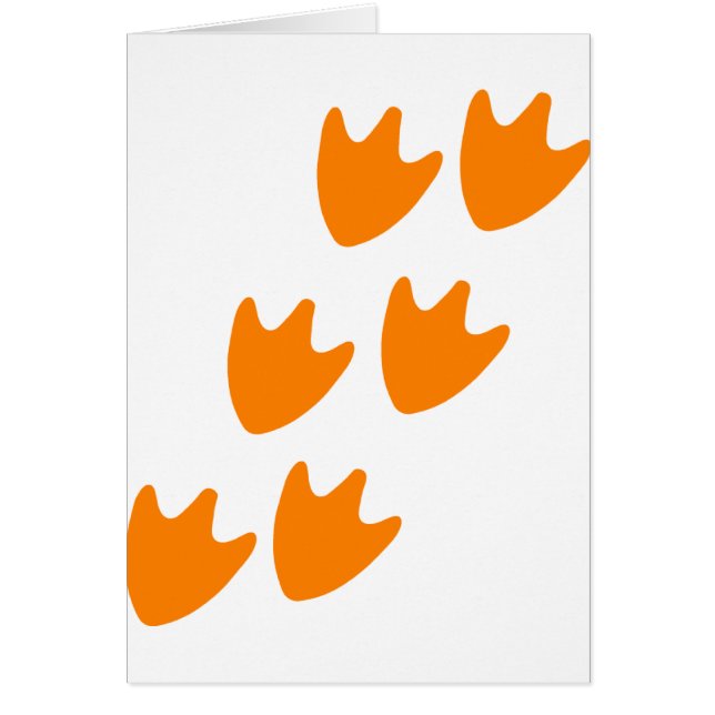 Spoor van Duck's Feet (Voorkant)