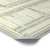 Spoorweg Texas en Pacific Poster (Hoek)