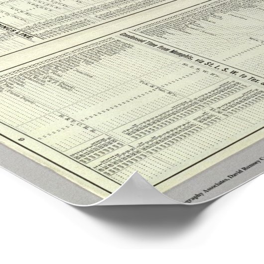 Spoorweg Texas en Pacific Poster (Hoek)