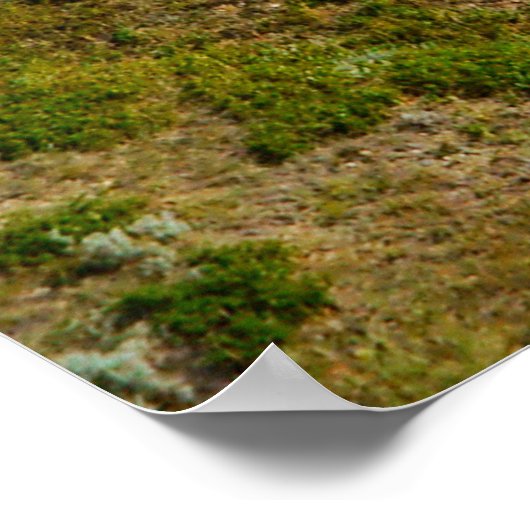 Spoorwegpictogram Alberta Poster (Hoek)