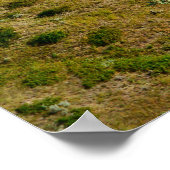 Spoorwegpictogram Alberta Poster (Hoek)