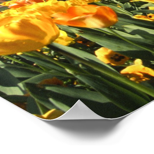 Spoorwegstation Dunedin Poster (Hoek)