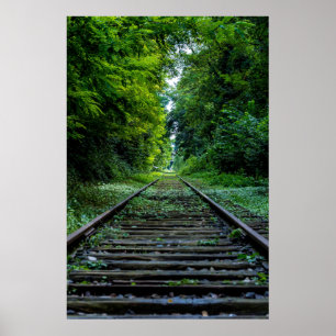 Spoorwegtreinsporen door groene bossen poster