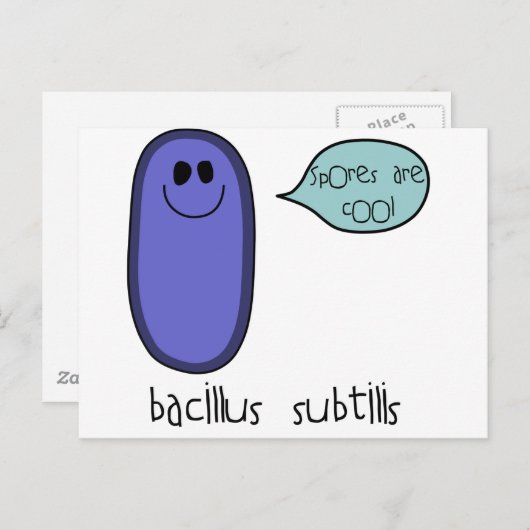 Spore Briefkaart (Voorkant / Achterkant)