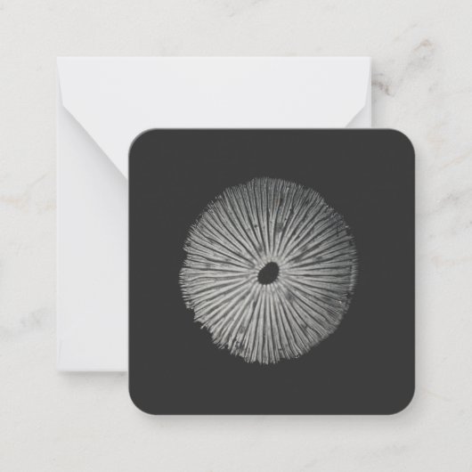 Spore Print Note-Kaart Notitiekaartje (Voorkant)