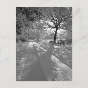 Sporen in de sneeuw: Cheshire Briefkaart