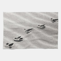 Sporen in de Zandfoto