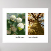 Sporen naar het Poster van Oaks (Voorkant)