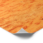 sport en kleur poster (Hoek)