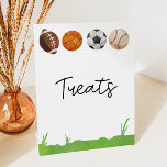 Sport Football Basketball Baseball Baseball-behand Reclamebord Met Voetstuk<br><div class="desc">Dit is een Football Basketball Soccer Baseball Treedt dessert Table Sign!</div>