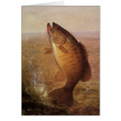  sport Gevist, Largemouth bruine basvis (Voorkant)