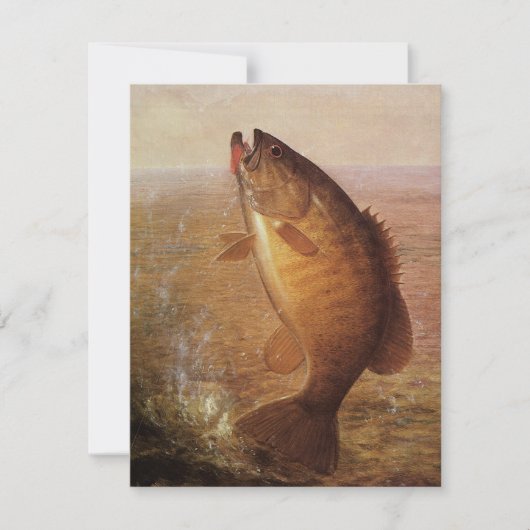  sport Gevist, Largemouth bruine basvis (Voorkant)