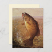  sport Gevist, Largemouth bruine basvis (Voorkant / Achterkant)