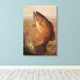 sport Gevist, Largemouth bruine basvis Canvas Afdruk