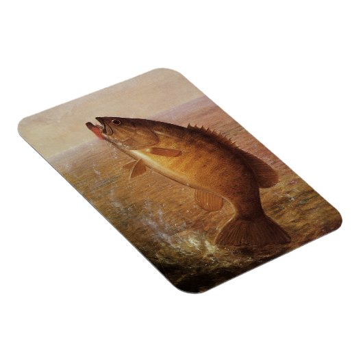  sport Gevist, Largemouth bruine basvis Magneet (Rechterzijde)