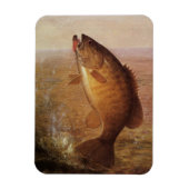  sport Gevist, Largemouth bruine basvis Magneet (Verticaal)