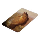  sport Gevist, Largemouth bruine basvis Magneet (Linkerzijde)