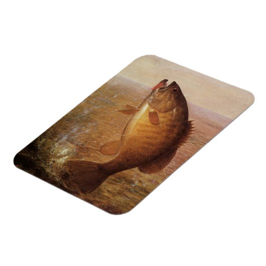  sport Gevist, Largemouth bruine basvis Magneet (Linkerzijde)