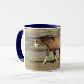 sportaloosa stallion bradford mok (Voorkant links)