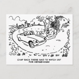 Sportauto rijden op het platteland. Grappig Briefkaart
