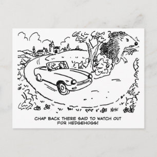 Sportauto rijden op het platteland. Grappig Briefkaart
