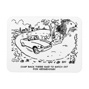 Sportauto's rijden op het platteland met hedgel magneet