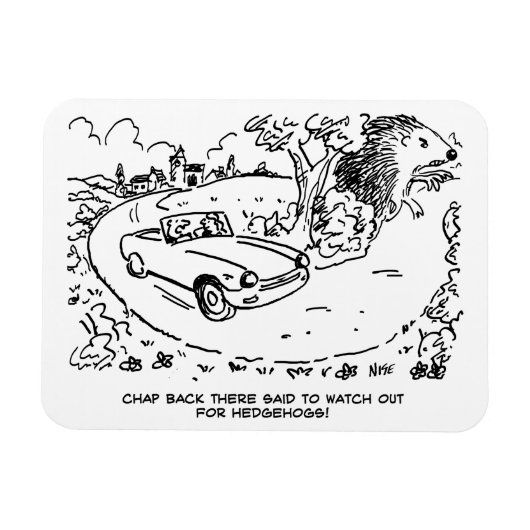 Sportauto's rijden op het platteland met hedgel magneet (Horizontaal)