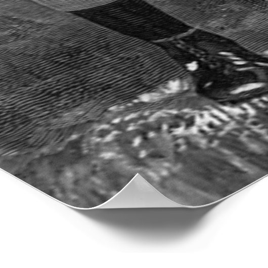 sportbox, profiel van Victoriaans boxer Poster (Hoek)