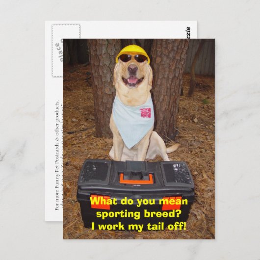 Sporteert Breed? Briefkaart (Voorkant / Achterkant)