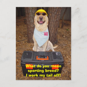 Sporteert Breed? Briefkaart