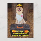 Sporteert Breed? Briefkaart (Voorkant)