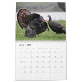 Sportman's kalender - jachtjaarronde (Mar 2027)