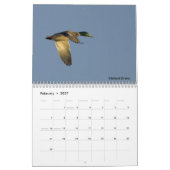 Sportman's kalender - jachtjaarronde (Feb 2027)