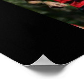 SPORTS LINE COLLECTIE POSTER (Hoek)