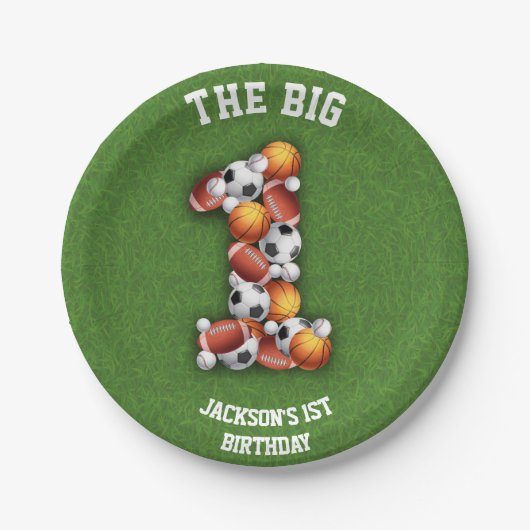 Sportwond met hoogbekken 1e verjaardag papieren bordje (Voorkant)