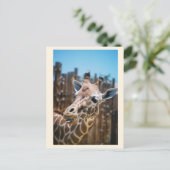 Spot Briefkaart (Staand voorkant)